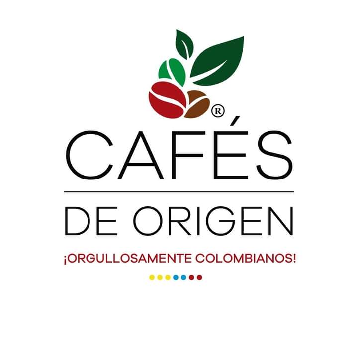 Cómo Los Diferentes Materiales Afectan el Sabor de tu Café - Perfect Daily  Grind Español